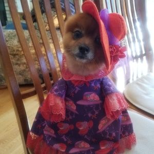 Meet your Posher, Elizabeth